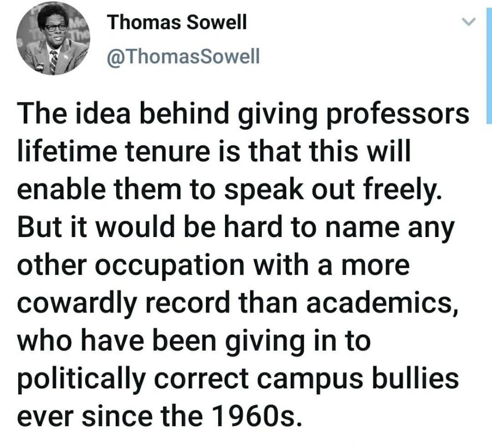 Academic tenure promotes freedom?